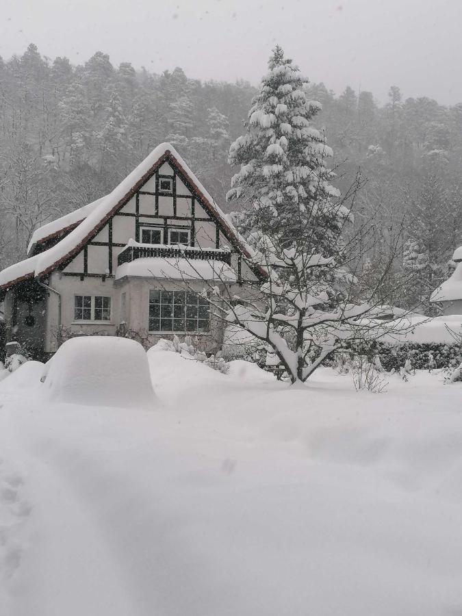Ferienwohnung Natur Pur Muehlental Wernigerode Εξωτερικό φωτογραφία