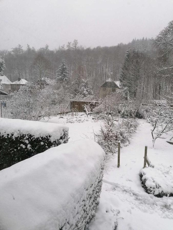 Ferienwohnung Natur Pur Muehlental Wernigerode Εξωτερικό φωτογραφία