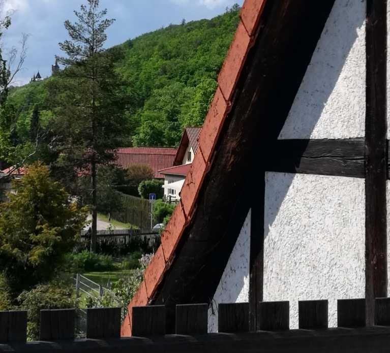 Ferienwohnung Natur Pur Muehlental Wernigerode Εξωτερικό φωτογραφία