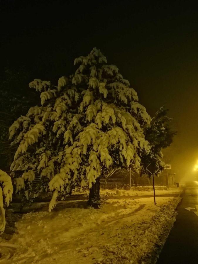 Ferienwohnung Natur Pur Muehlental Wernigerode Εξωτερικό φωτογραφία